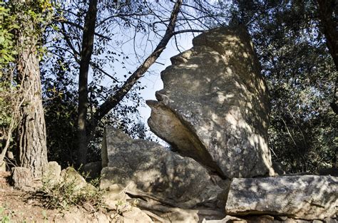 bosque encantado de orrius|Excursión al Bosque Encantado de Orrius 